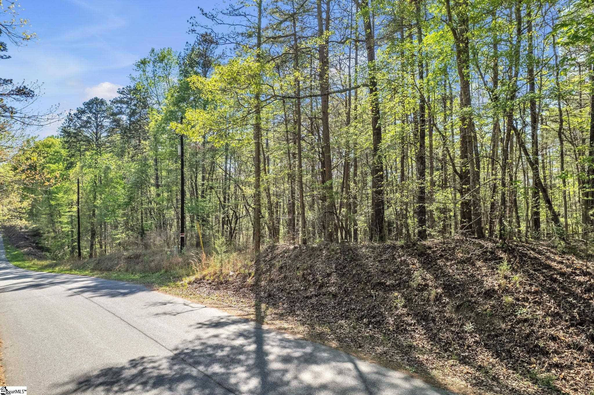 Pinewood Spartanburg South Carolina United States, for Sale, commercial,  , Valentine Realty Group