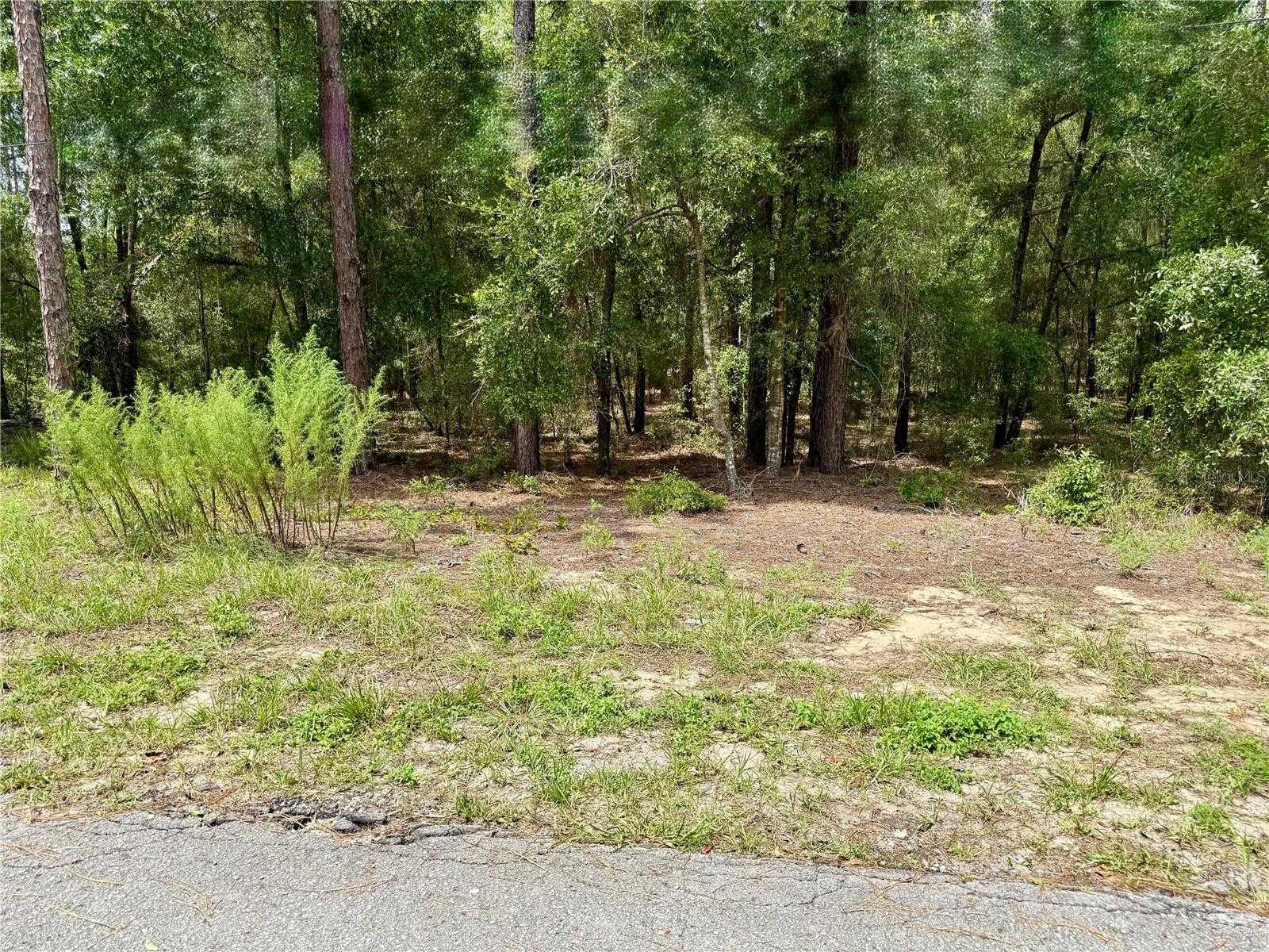 SW 205TH CIRCLE Dunnellon Florida United States, for Sale, commercial, Jeanne Herzig-Arena, Professional Realty of Ocala