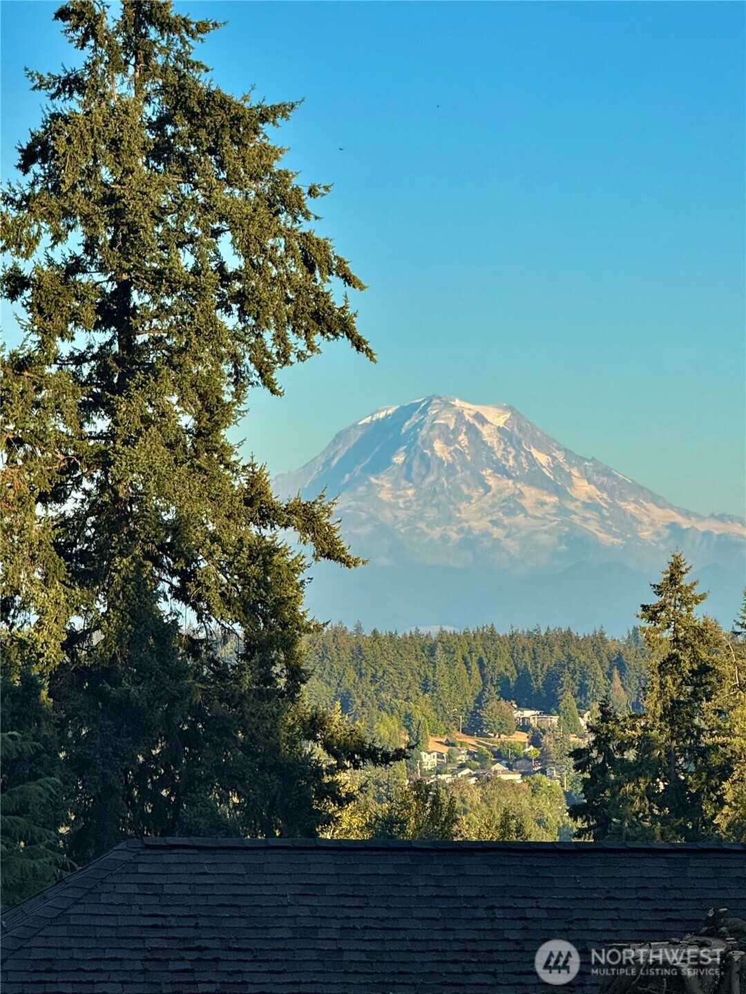 6425 7th Street NE Tacoma Washington United States, for Sale, commercial, Sibhat Petros, Best Choice Realty