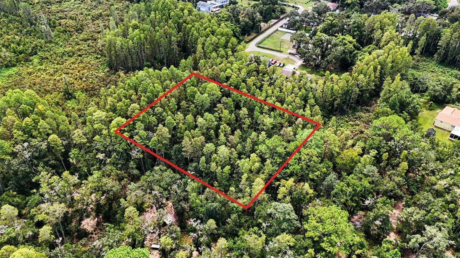 2ND AVENUE Lutz Florida United States, for Sale, commercial, Sunny Sidhu, RE/MAX Premier Group