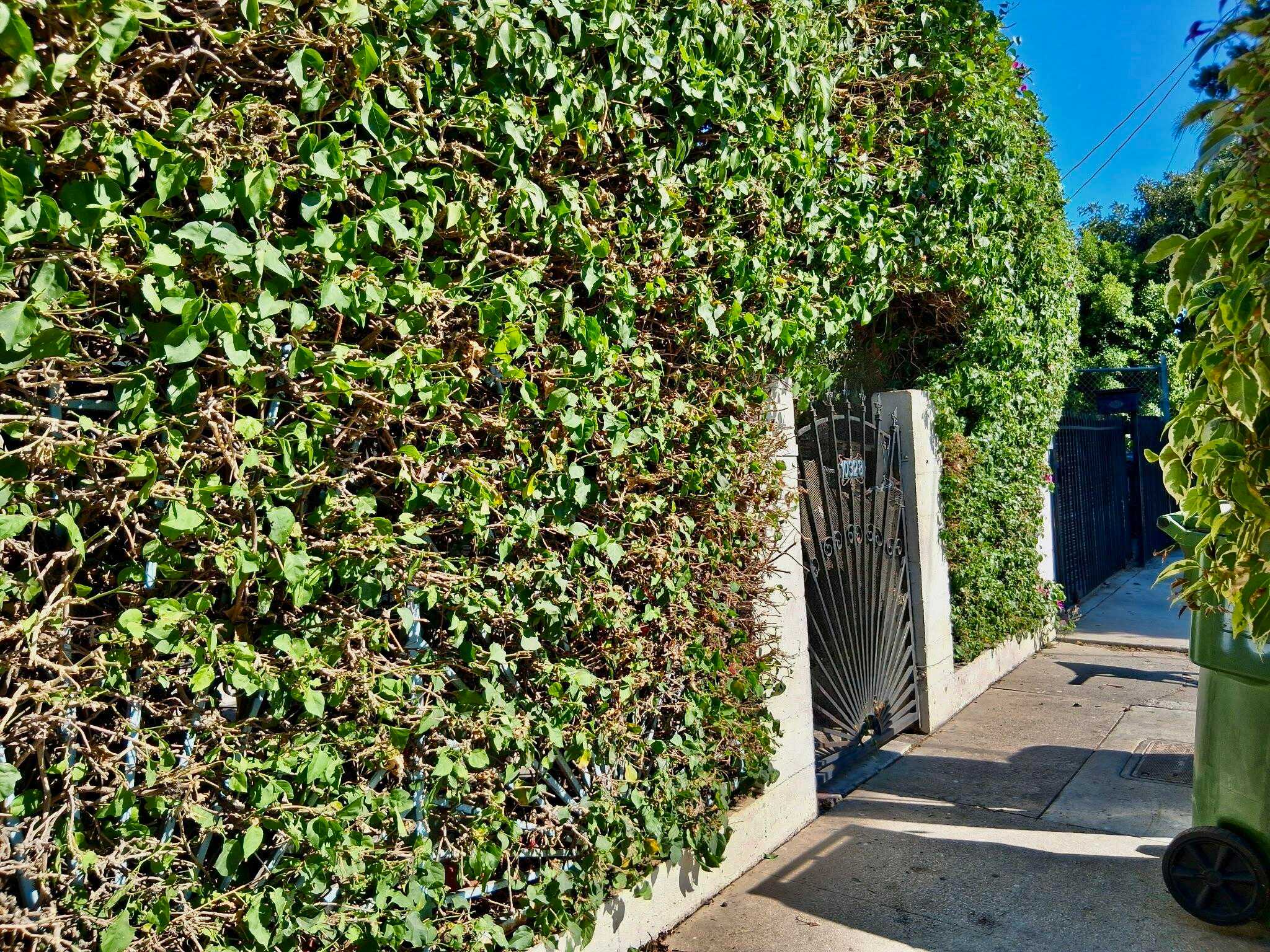 10328 Hickory Street Los Angeles California United States, for Sale, residential,  , InCom Real Estate - New Office