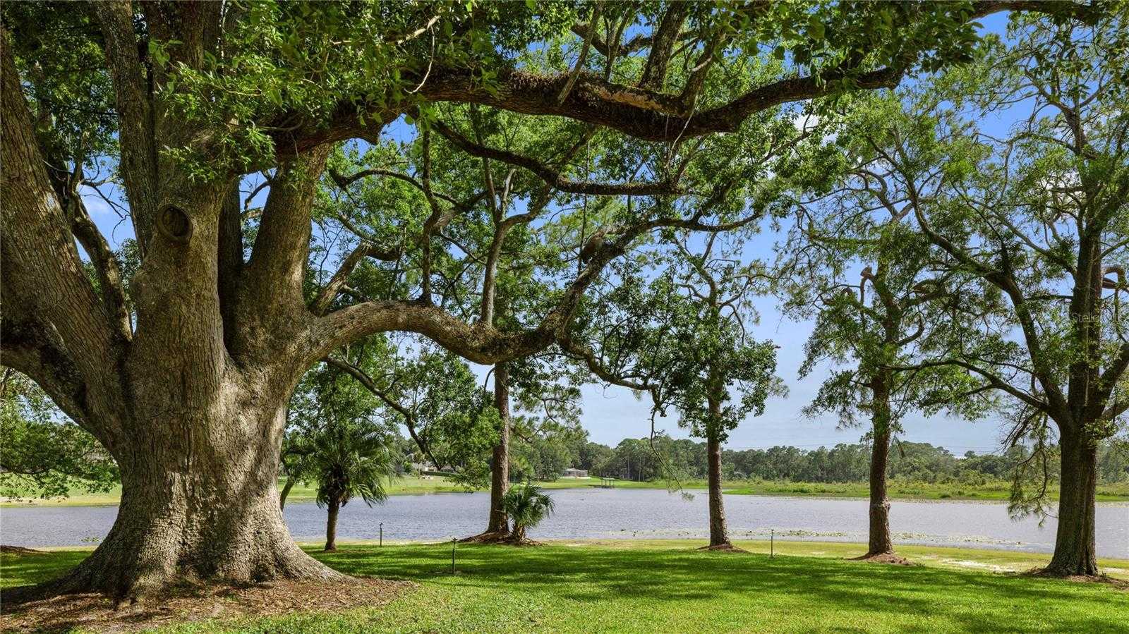 REAGAN TRAIL Lake Mary Florida United States, for Sale, commercial,  , Realty World Preferred