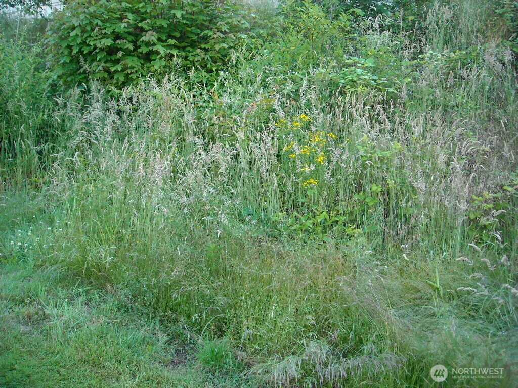 613 E 56th Street Tacoma Washington United States, for Sale, commercial,  , Better Properties Hometown