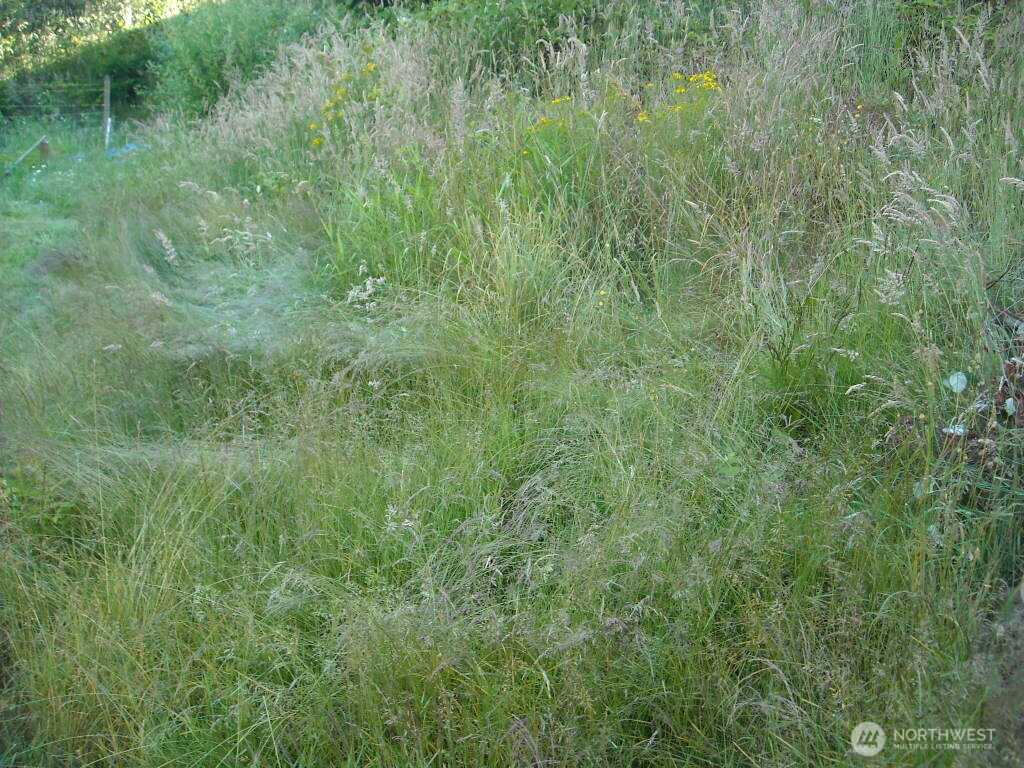 514 E 55th Street Tacoma Washington United States, for Sale, commercial,  , Better Properties Hometown