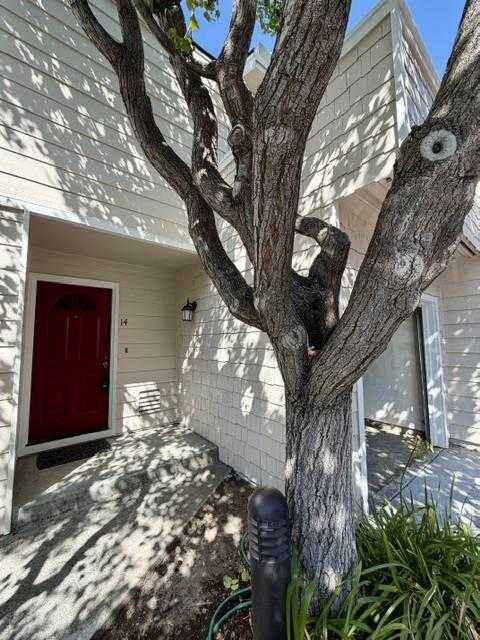 173 Sierra Vista AVE 14 Mountain View California United States, for Rent, residential, Shanmughasundaram Gounder, Keller Williams Realty - Silicon City