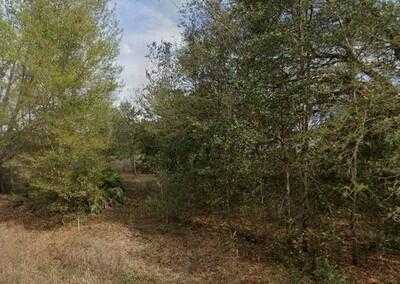 Tba Lenore Avenue  Florida United States, for Sale, commercial,  , Phoenix Realtors LLC