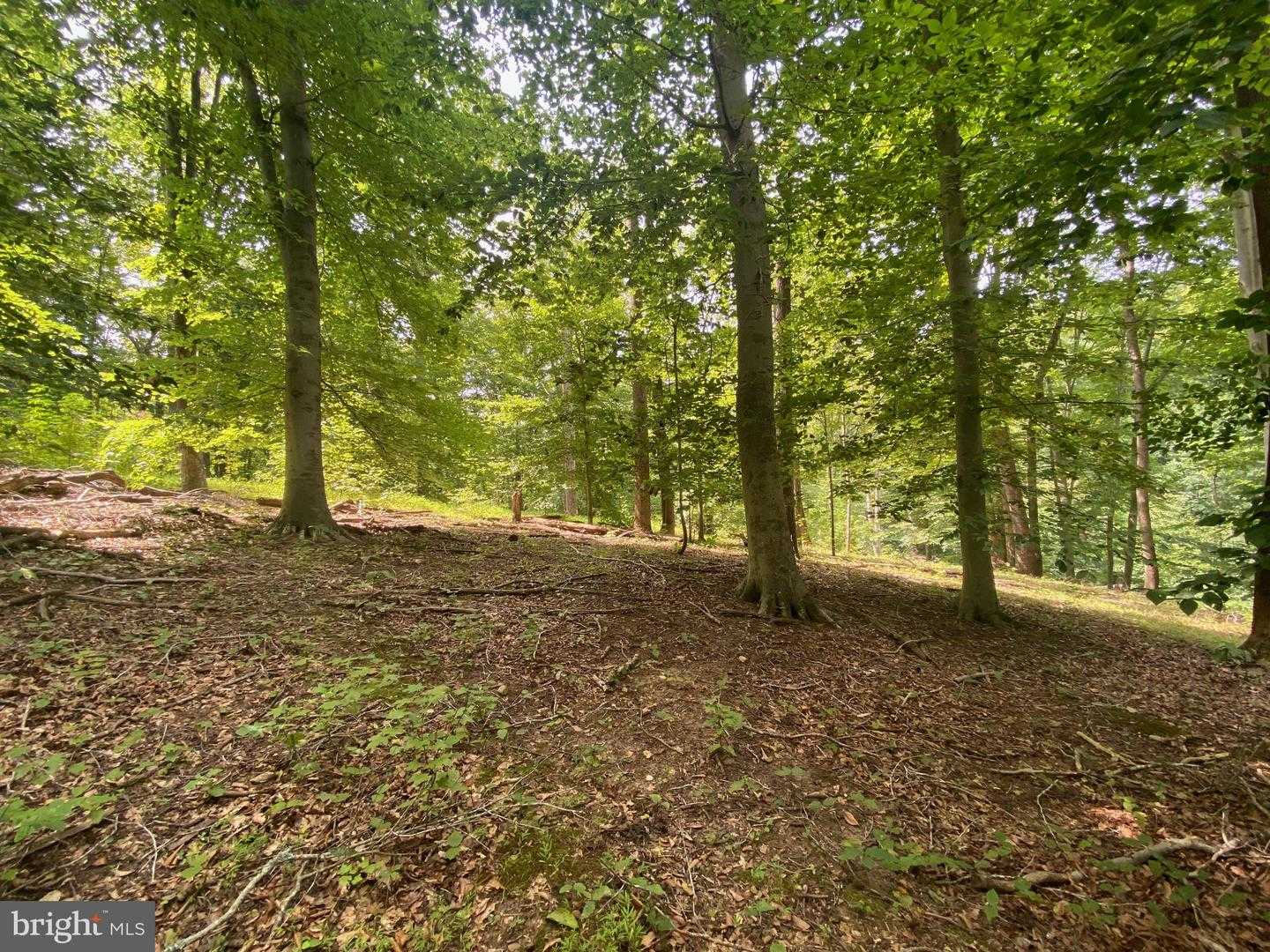 504 HOLLY ROAD Fort Washington Maryland United States, for Sale, commercial, Brian Harrison, Realty Advantage