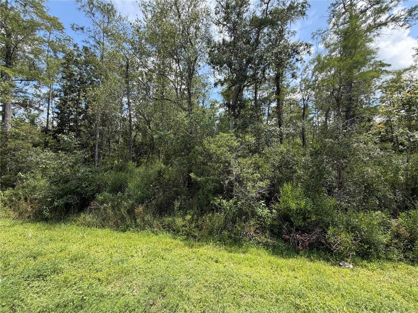 STARRY STREET Orlando Florida United States, for Sale, commercial,  , Florida Top Realty