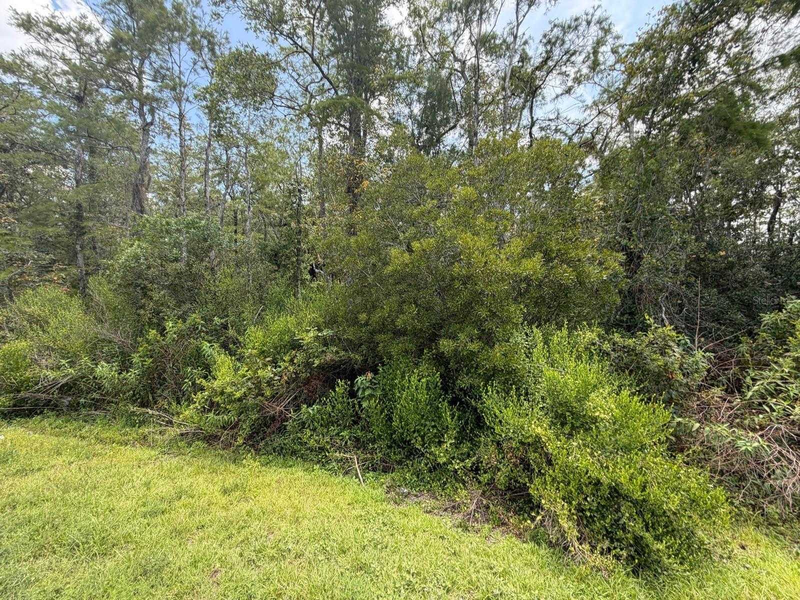 TUNBRIDGE STREET Orlando Florida United States, for Sale, commercial,  , Florida Top Realty