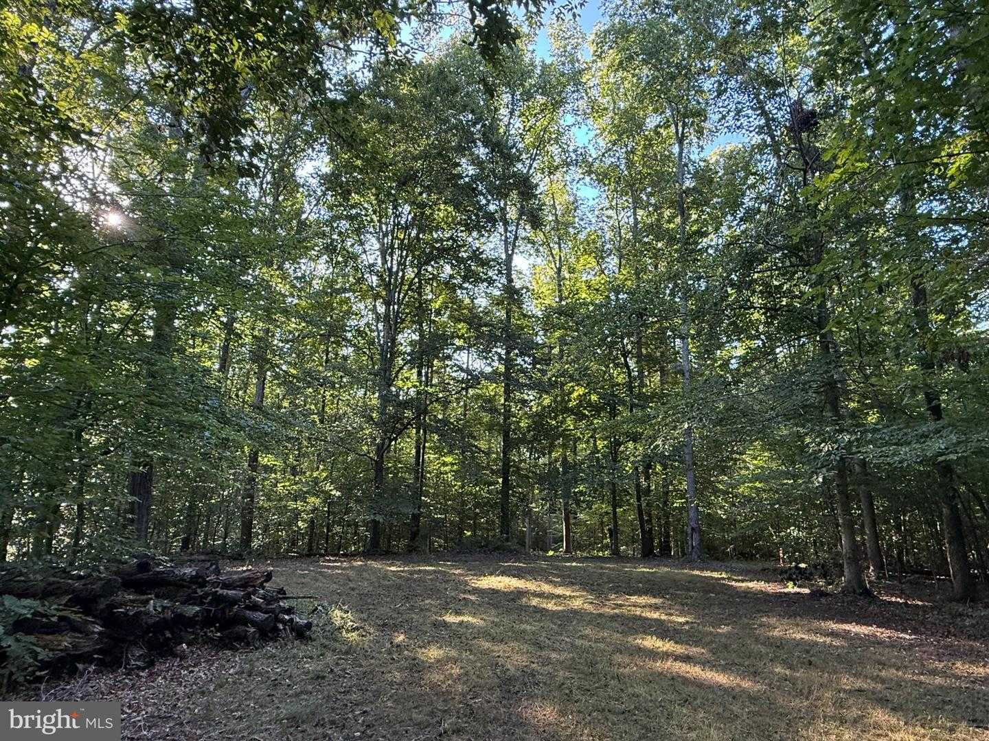 EVERETT LN Louisa Virginia United States, for Sale, commercial, Bruno Tarquinii, Fairfax Realty Premier