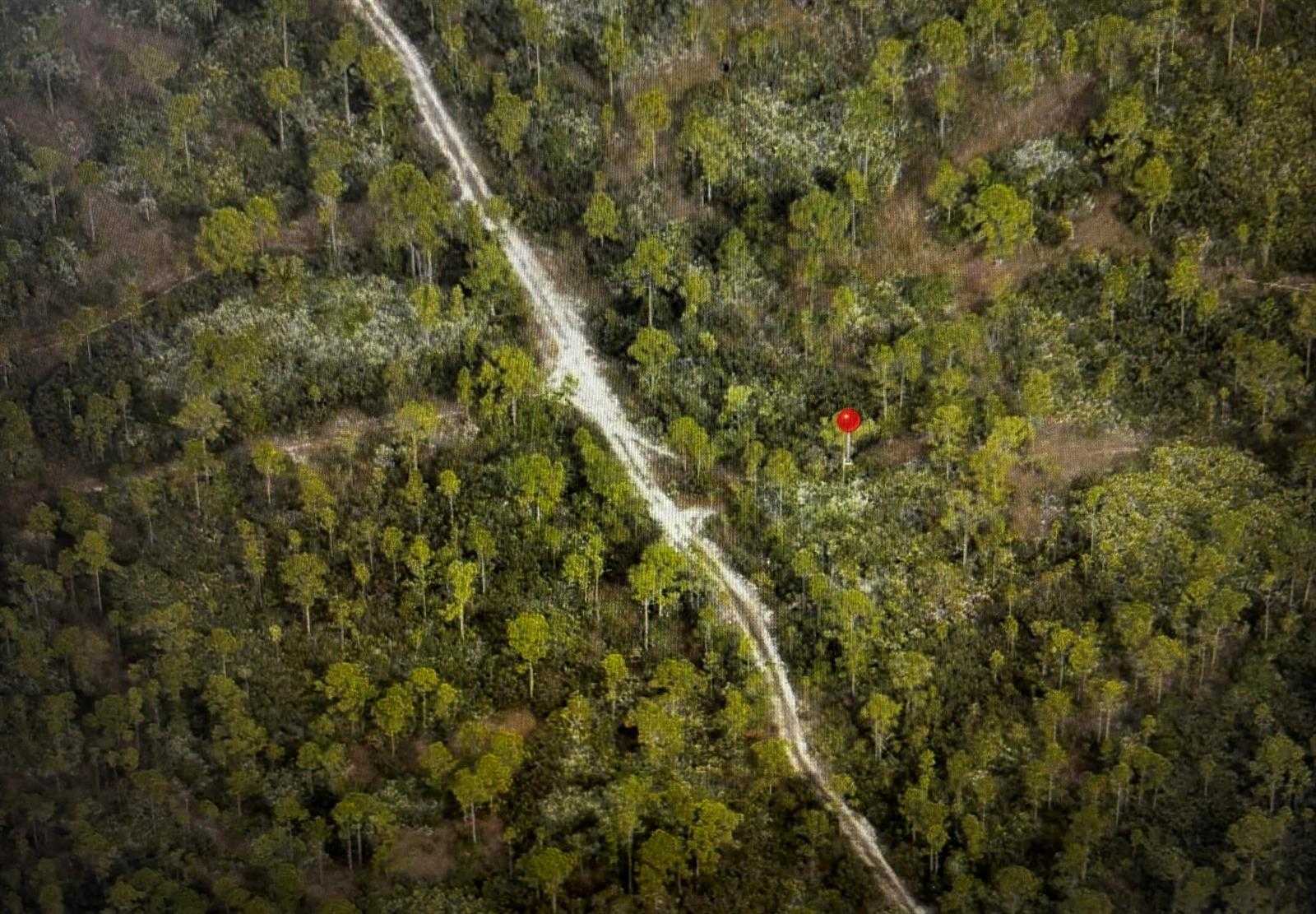 Unassigned Poinciana Gardens Hobe Sound Florida United States, for Sale, commercial,  , Phoenix Realtors LLC