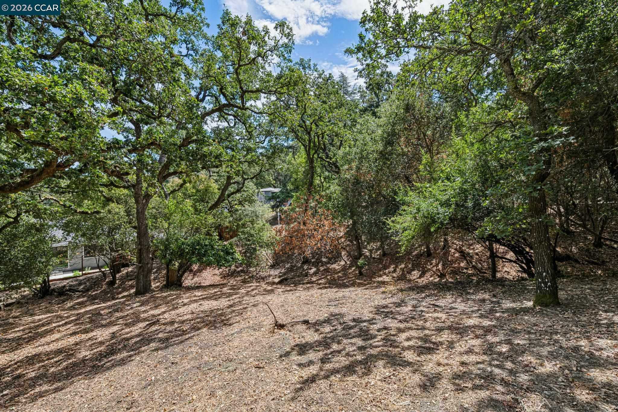 Ridge Road Lafayette California United States, for Sale, commercial,  , Realty World - Champions
