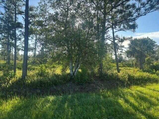 N Hwy 441 Okeechobee Florida United States, for Sale, commercial,  , Phoenix Realtors LLC