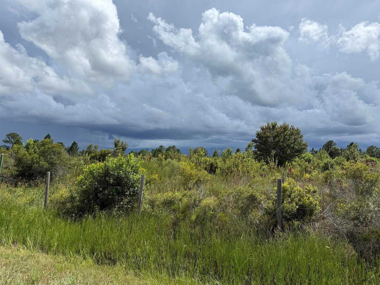 18076 NW 276TH Street Okeechobee Florida United States, for Sale, commercial,  , Phoenix Realtors LLC