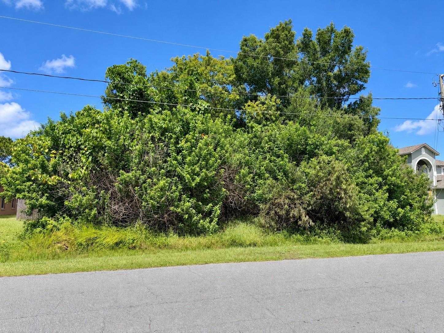 1005 CANNES DRIVE Kissimmee Florida United States, for Sale, commercial,  , Marrero's Homes Realty Inc
