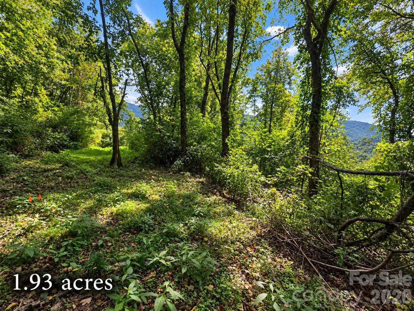 81 Dove Crest Lane APT 18 & 33 Waynesville North Carolina United States, for Sale, commercial, Jaci Reynolds, RE/MAX Executive