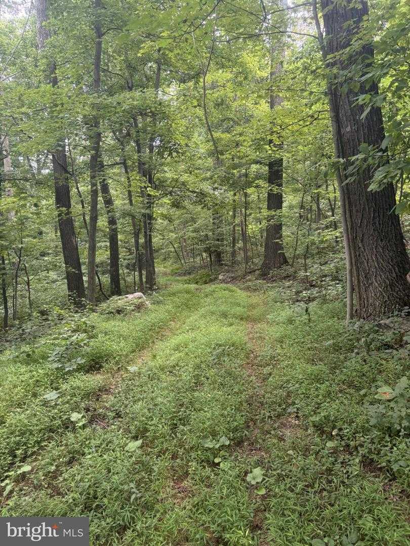 SUNDOWN ROAD Gore Virginia United States, for Sale, commercial, Bruno Tarquinii, Fairfax Realty Premier