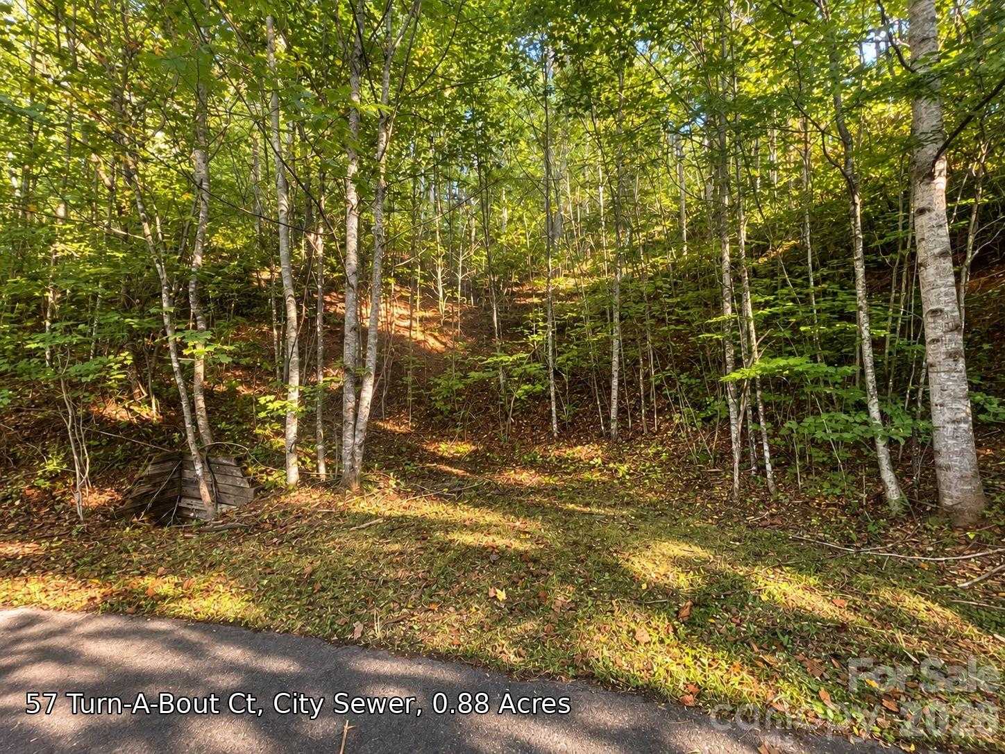 250 Turn-A-Bout Court APT 57 Maggie Valley North Carolina United States, for Sale, commercial, Jaci Reynolds, RE/MAX Executive
