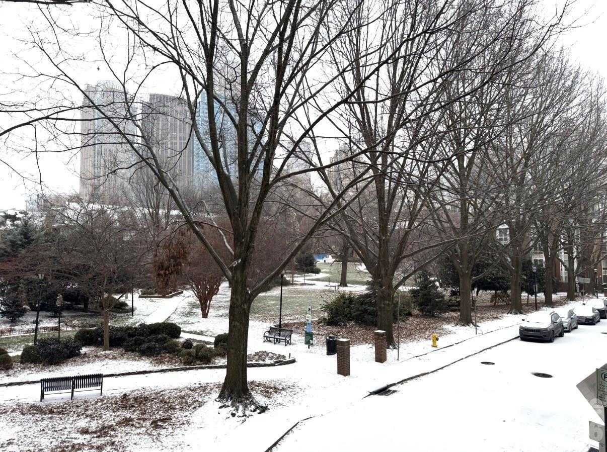 417 8th Street Charlotte North Carolina United States, for Rent, residential,  , Realty ONE Group Revolution