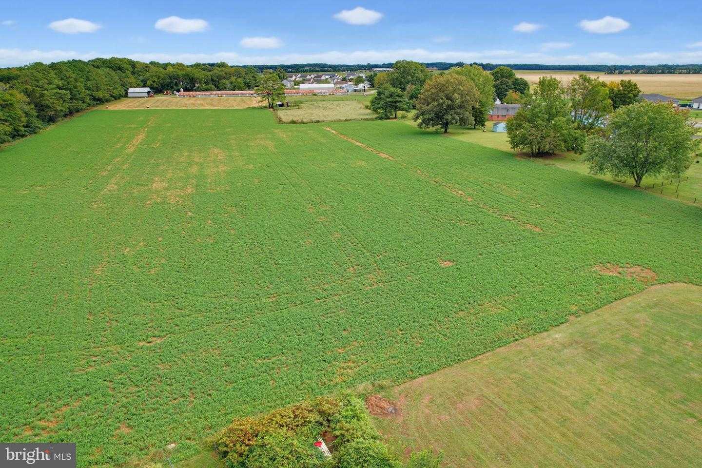 WALNUT SHADE ROAD Magnolia Delaware United States, for Sale, commercial, Bruno Tarquinii, Fairfax Realty Premier