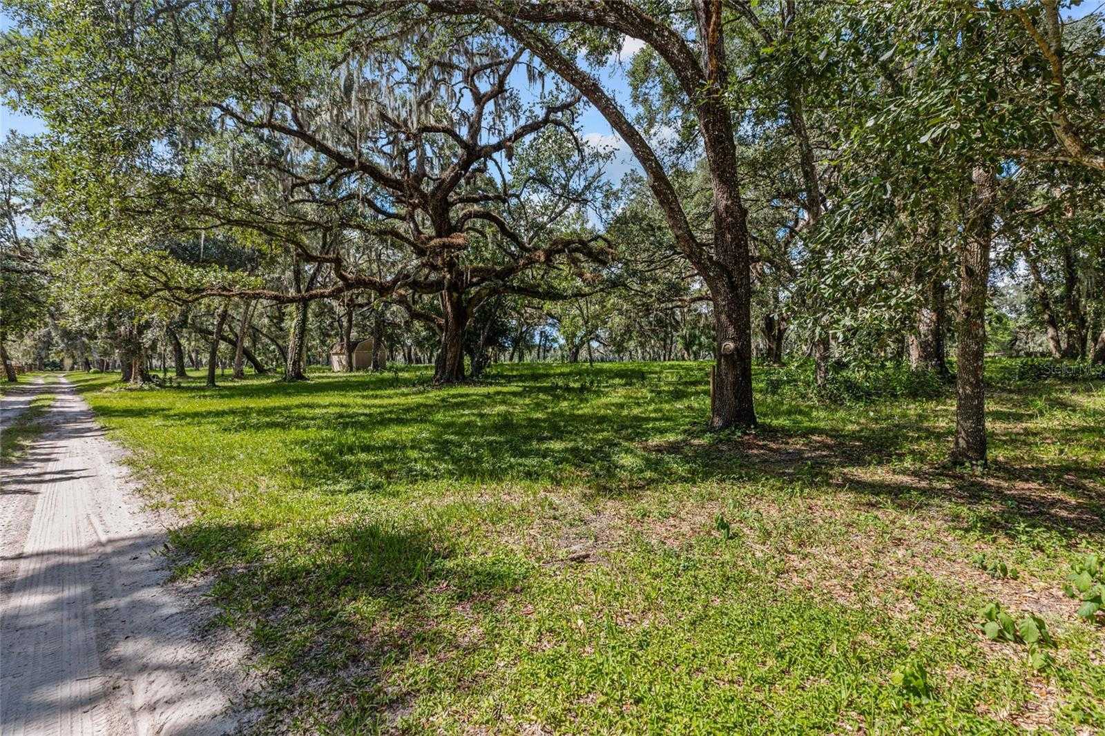 17445 PALMER LANE Spring Hill Florida United States, for Sale, commercial, Ksenia  Akishina, Mihara & Associates, Inc.