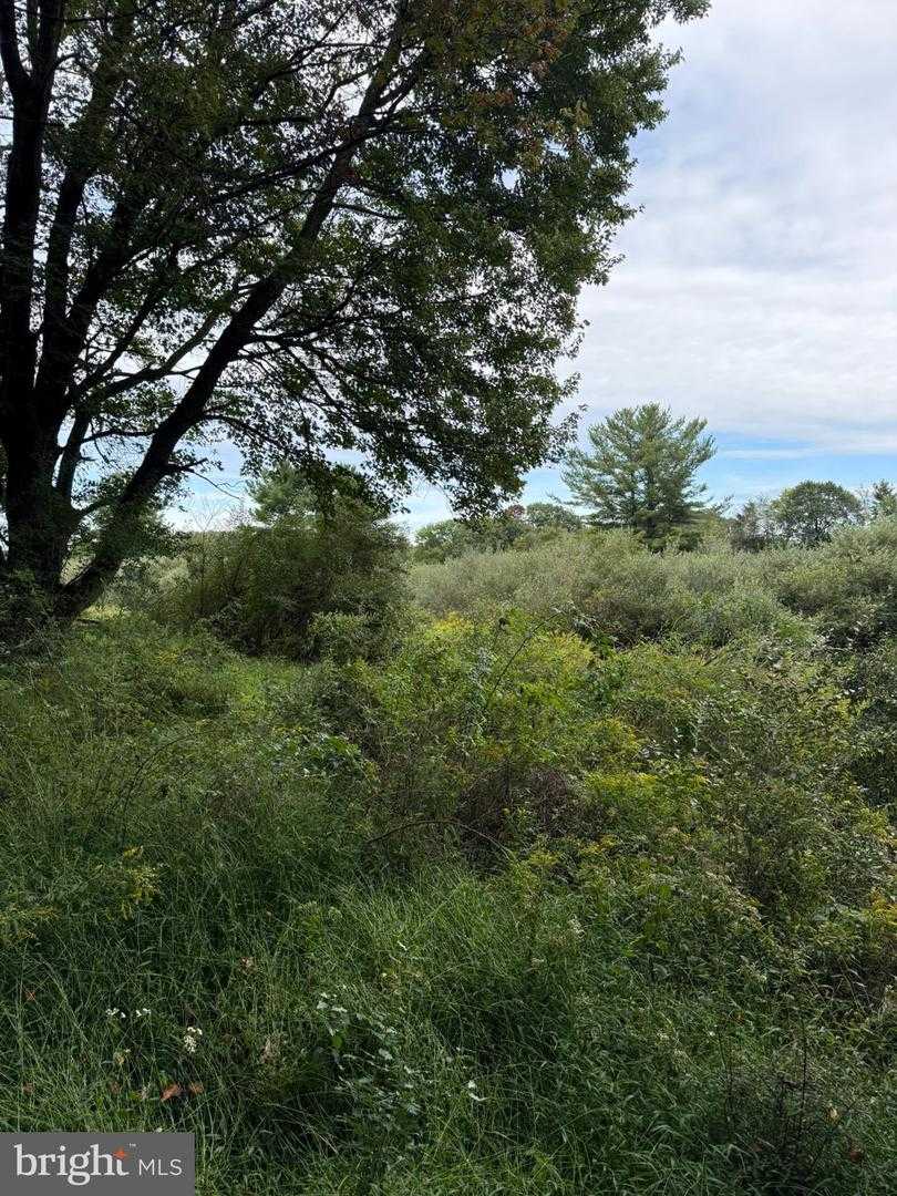 OLD ORCHARD LANE Allport Pennsylvania United States, for Sale, residential, Bruno Tarquinii, Fairfax Realty Premier