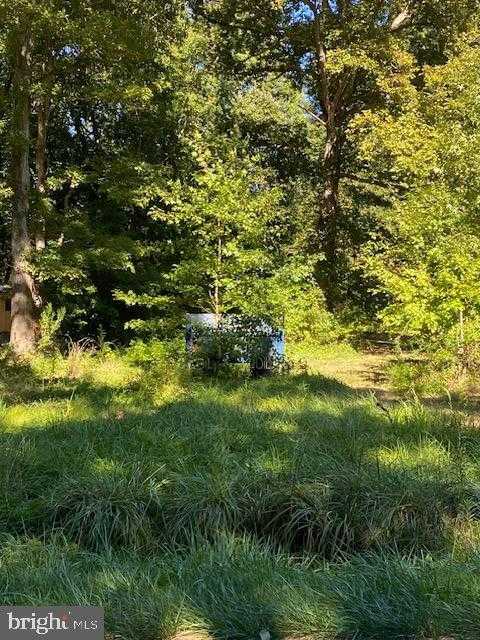 FOREST ROAD Milton Delaware United States, for Sale, commercial, Bruno Tarquinii, Fairfax Realty Premier