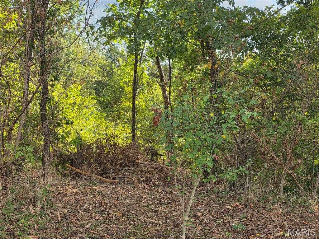 Bluff Circle Waynesville Missouri United States, for Sale, commercial,  , Miller Real Estate, Inc