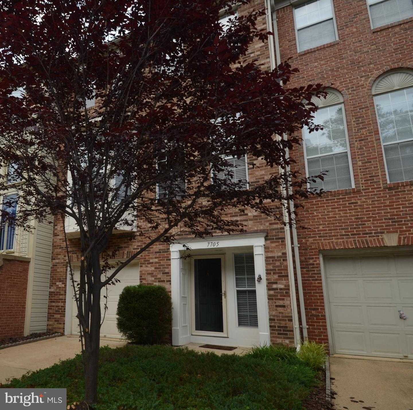 7705 WILEY CREEK WAY Alexandria Virginia United States, for Rent, residential,  , The Holly Group