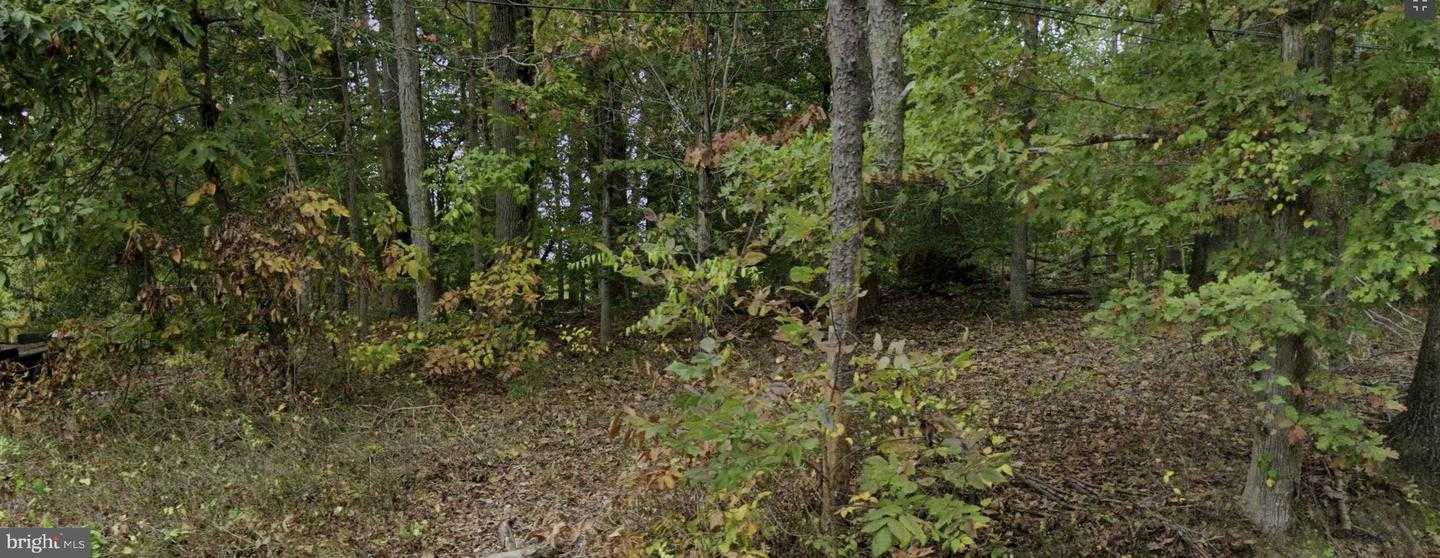 17214 BATESTOWN ROAD Dumfries Virginia United States, for Sale, commercial,  , The Holly Group