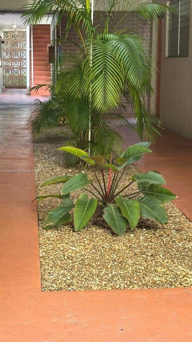 Street information unavailable  APT 6 Miami Florida United States, for Rent, residential, Sandra Benkahla, The 305 Agency