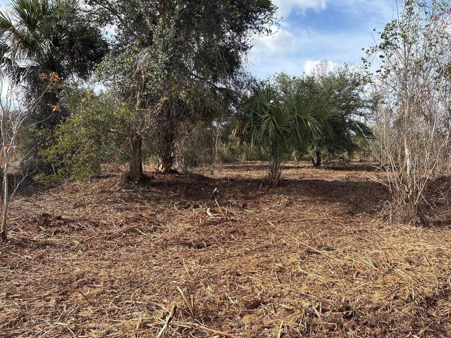 NW 296th Street Okeechobee Florida United States, for Sale, commercial,  , Phoenix Realtors LLC