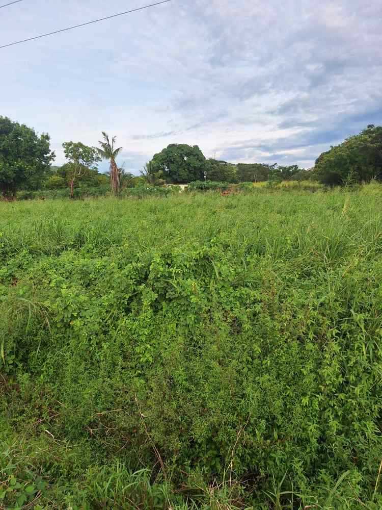 BRL07 Bilolo, Ba Ba  Fiji, for Sale, residential,  , PROPERTY EXPERTS 