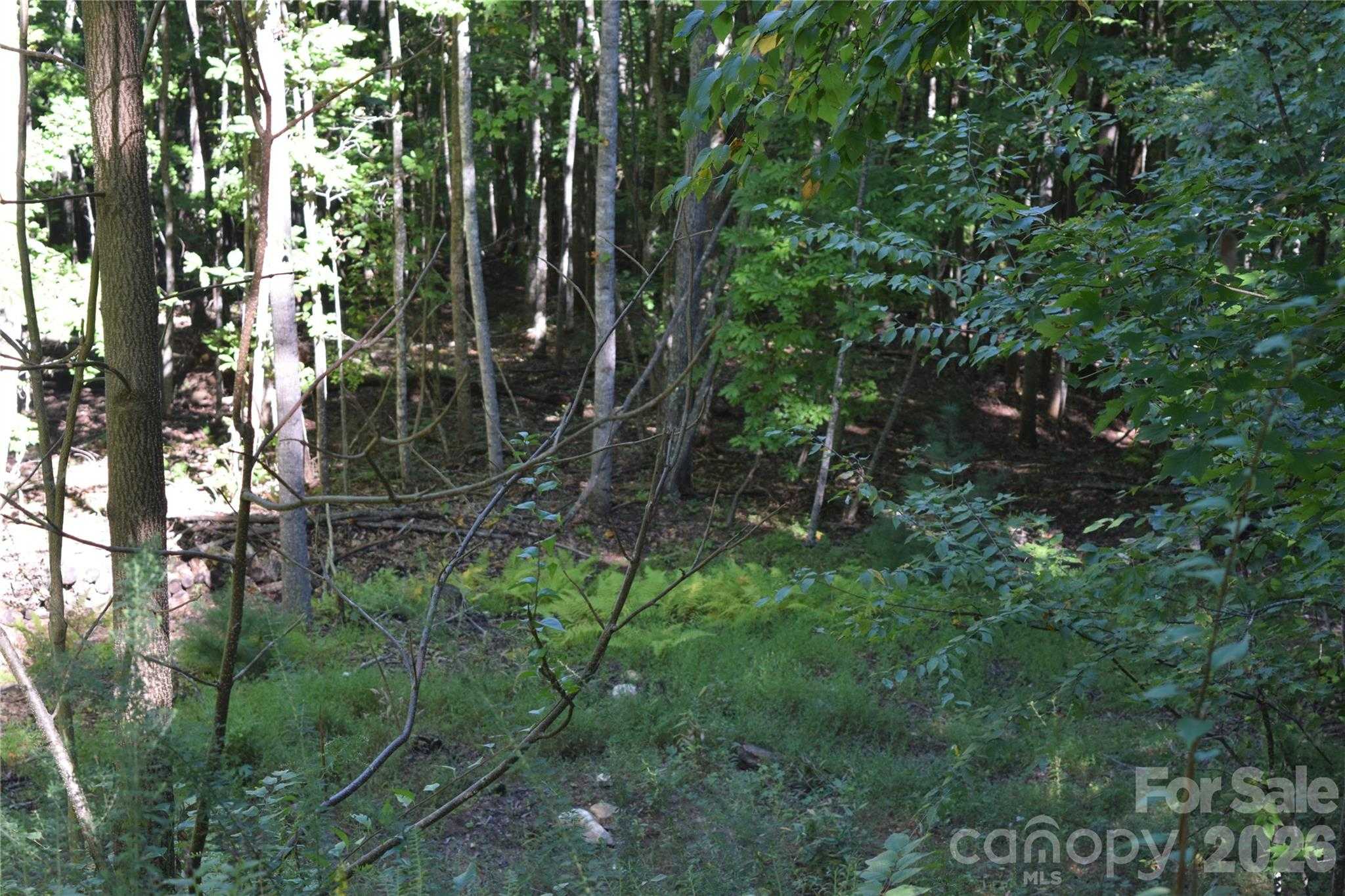 1410 Double Knob Loop Arden North Carolina United States, for Sale, commercial, Toby Davis, RE/MAX RESULTS REALTY