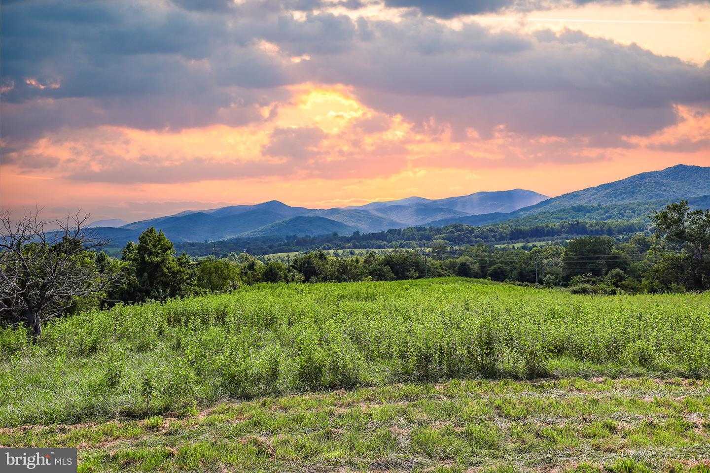 LEE HWY 66.8AC TAXID38-91 Sperryville Virginia United States, for Sale, commercial, Bruno Tarquinii, Fairfax Realty Premier