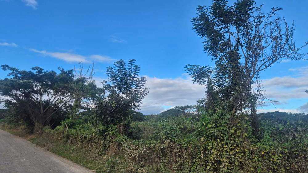 NF108 Moala Nadi  Fiji, for Sale, residential,  , PROPERTY EXPERTS 