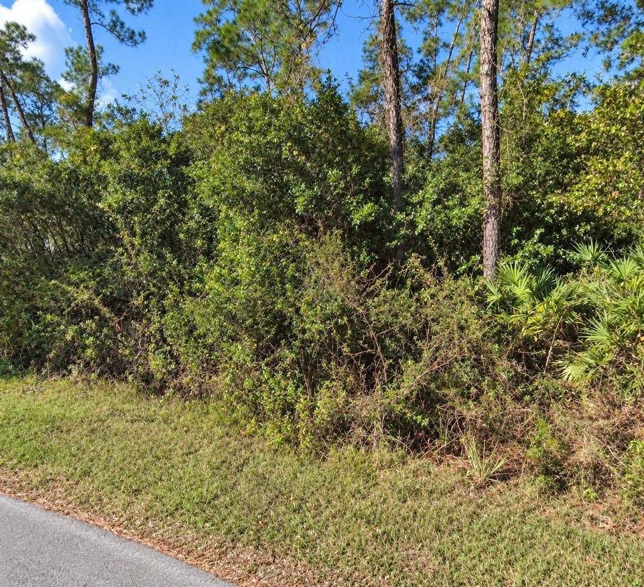 COON ROAD Astor Florida United States, for Sale, commercial,  , The Mount Dora Group 