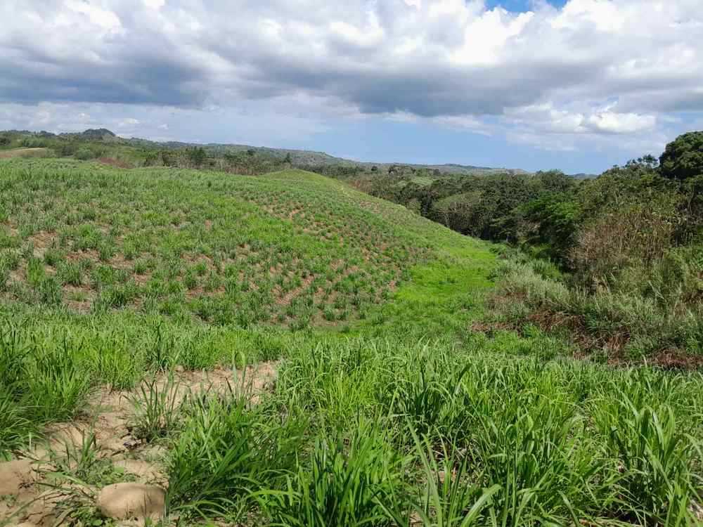 SF12 Kabisi Sigatoka  Fiji, for Sale, residential,  , PROPERTY EXPERTS 
