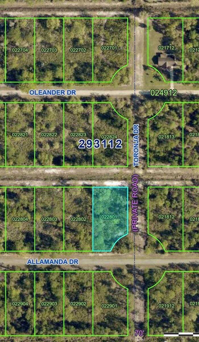 ALLAMANDA Drive  Florida United States, for Sale, commercial,  , Phoenix Realtors LLC