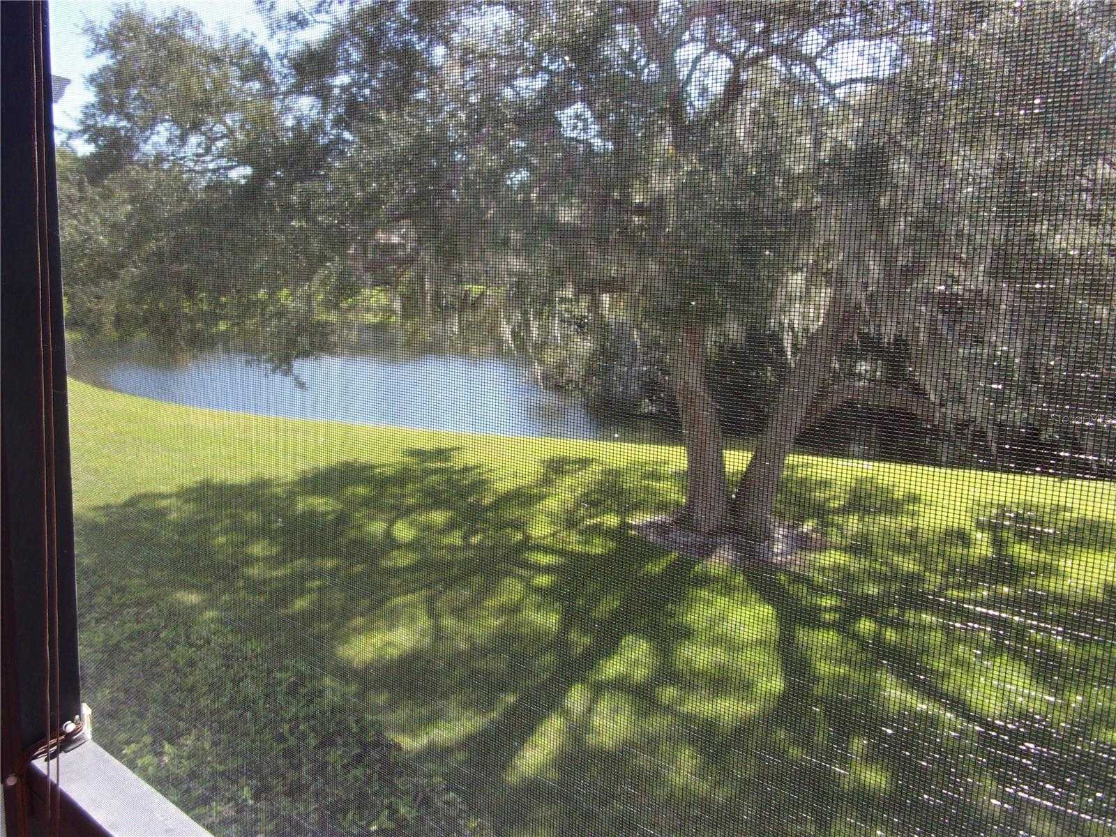 278 CYPRESS LANE Oldsmar Florida United States, for Rent, residential, Tony Quevedo , Kokopelli Real Estate