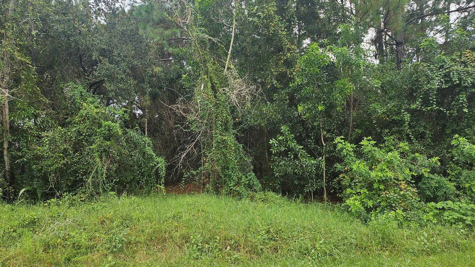 5439 NW Thyer Circle Port St. Lucie Florida United States, for Sale, commercial,  , Phoenix Realtors LLC