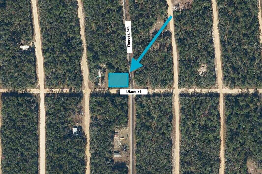 Tbd Theresa Avenue  Florida United States, for Sale, commercial,  , Phoenix Realtors LLC