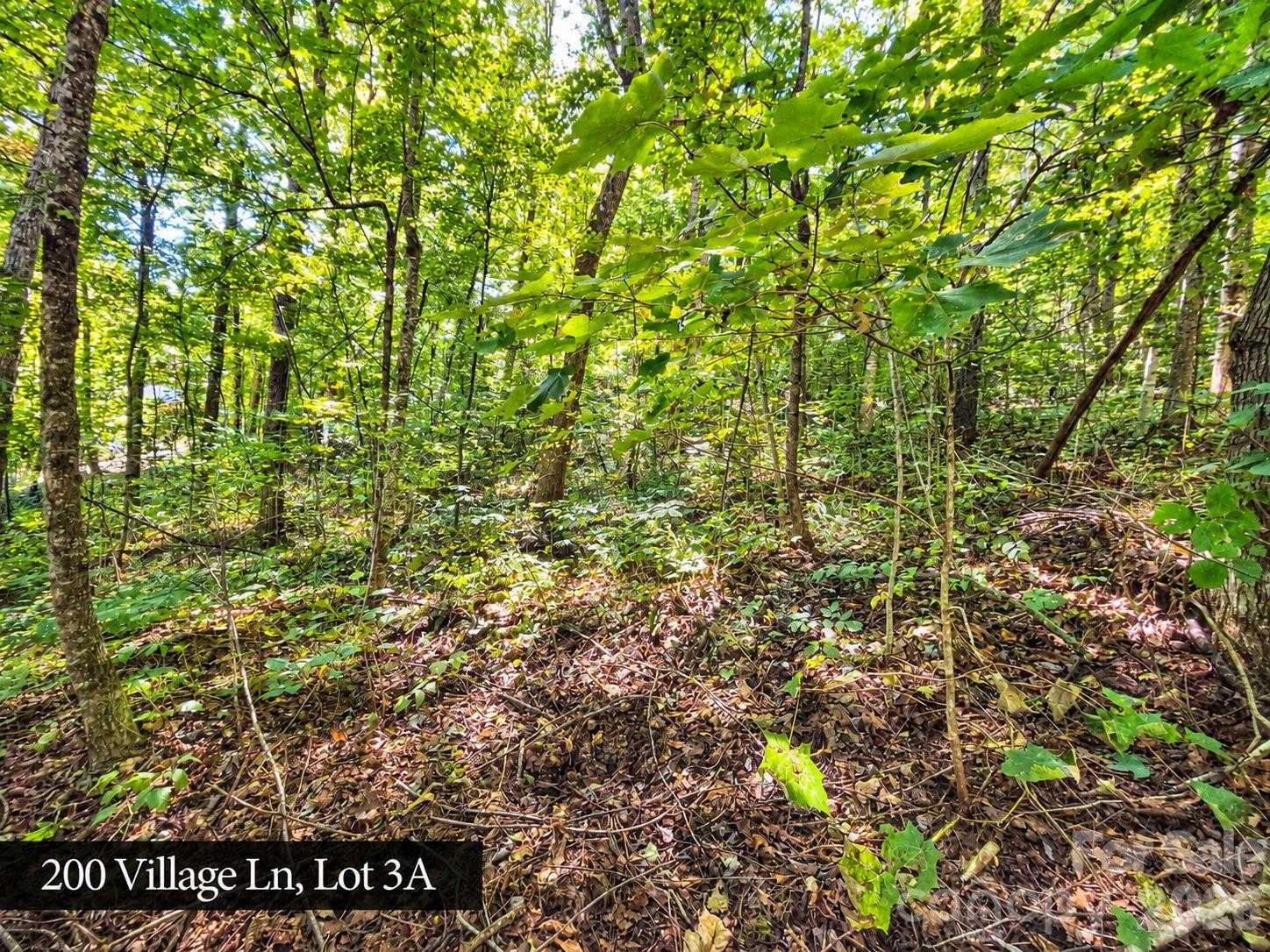 200 Village Lane APT 3A Waynesville North Carolina United States, for Sale, commercial, Jaci Reynolds, RE/MAX Executive
