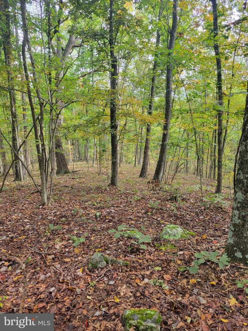 BEAR ROAD Delray West Virginia United States, for Sale, commercial, Bruno Tarquinii, Fairfax Realty Premier