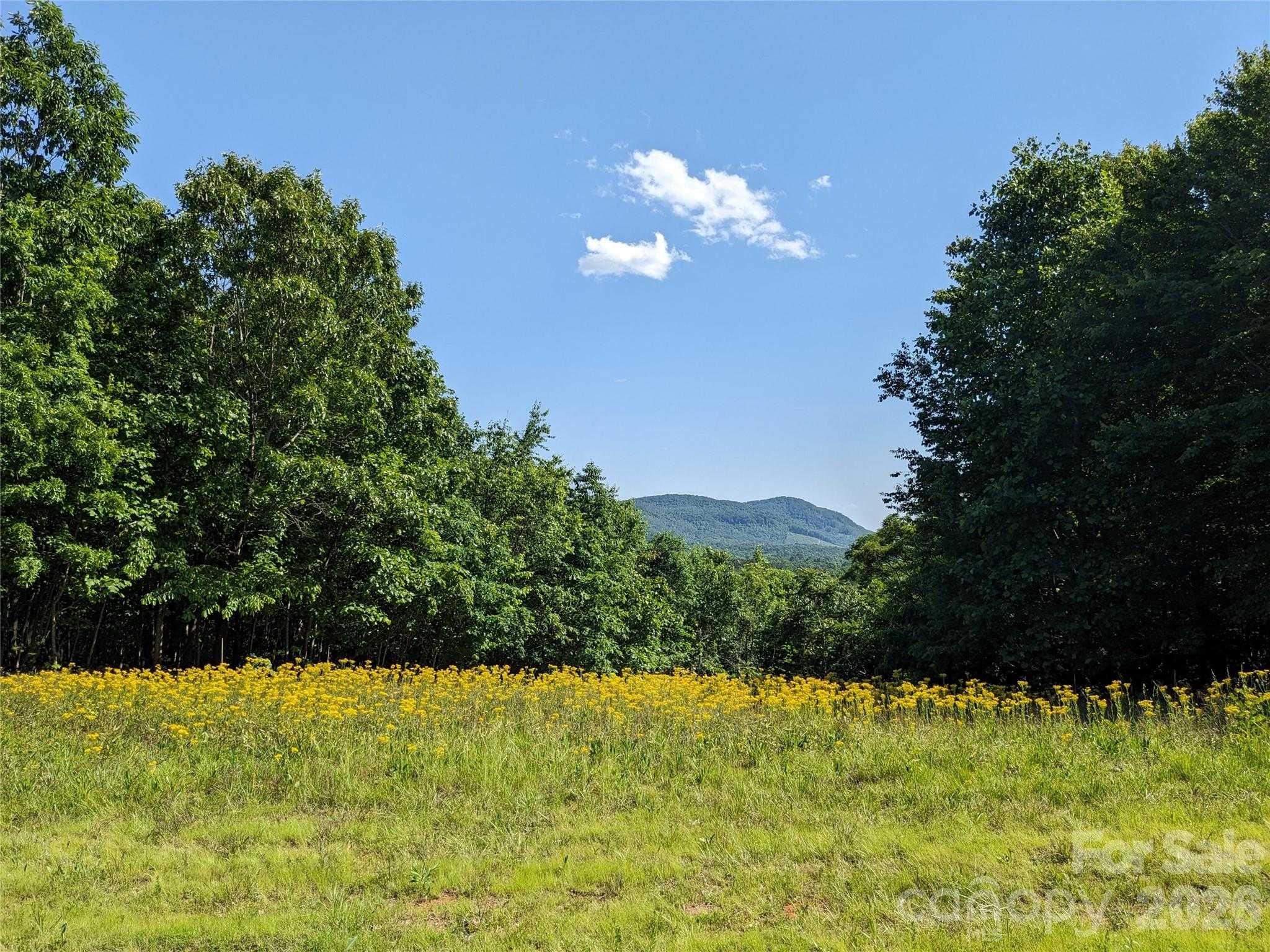 Stratford Drive APT 78 Bostic North Carolina United States, for Sale, commercial,  , 4 Seasons Homes and Land Inc.
