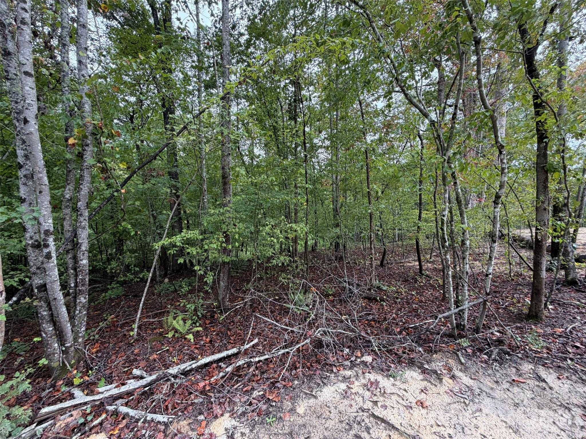 W V THOMPSON Road Rutherfordton North Carolina United States, for Sale, commercial,  , 4 Seasons Homes and Land Inc.