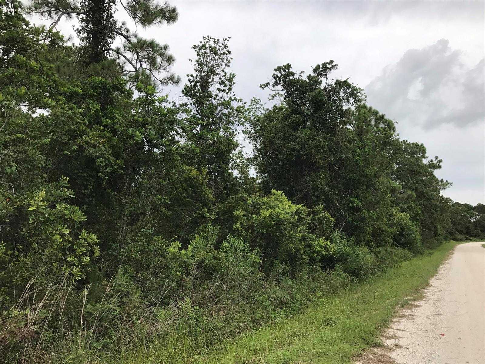 1126 Greenfield Street Lake Placid Florida United States, for Sale, commercial,  , Phoenix Realtors LLC