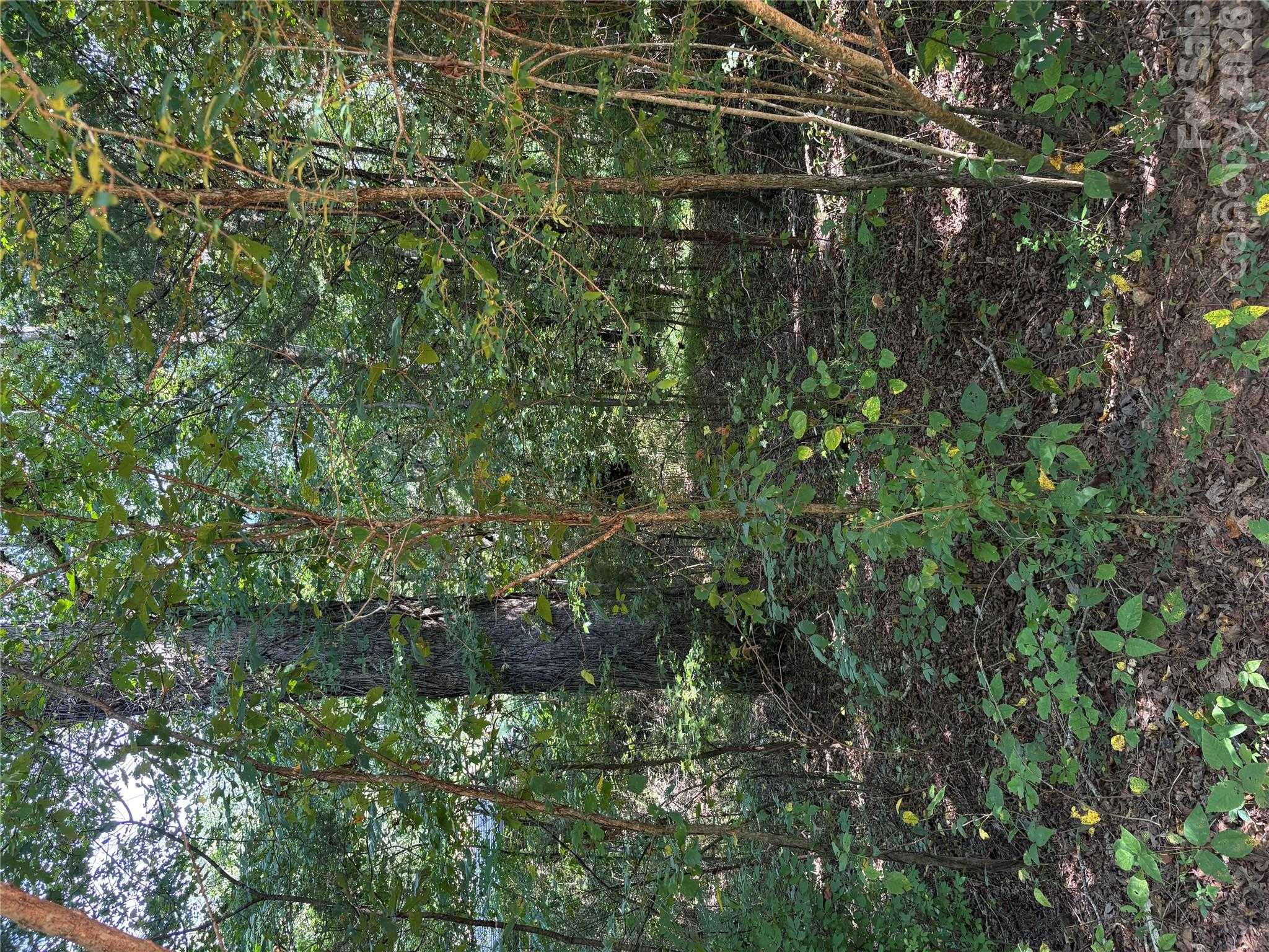 Bedford Creek Road Ellenboro North Carolina United States, for Sale, commercial,  , 4 Seasons Homes and Land Inc.