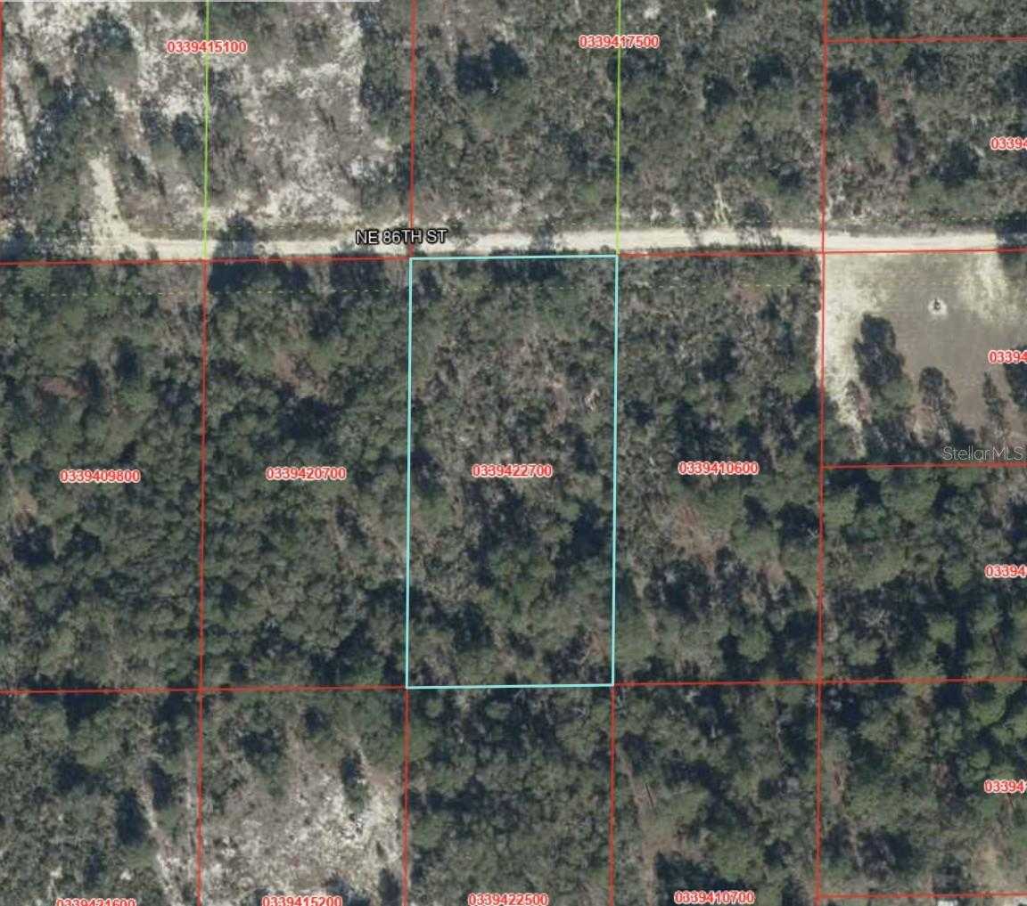NE 86TH STREET Bronson Florida United States, for Sale, commercial,  , The Mount Dora Group 