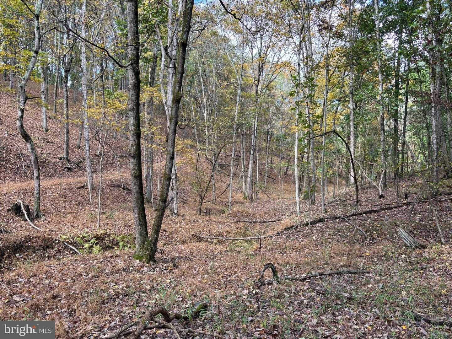 50 OFF DANS RUN ROAD Fort Ashby West Virginia United States, for Sale, commercial, Bruno Tarquinii, Fairfax Realty Premier